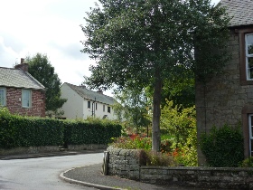 Street in Castle Carrock.