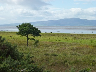 The Solway Firth