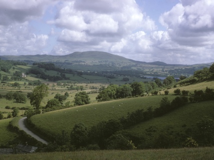 The countryside near Lorton.